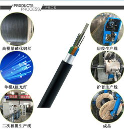 解析重铠直埋光缆 从GYTA53到GYFTA53，多芯数光缆的应用与厂家选择