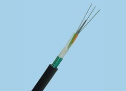 四芯万兆光缆 300米跨距，每米4.80元的高性价比网络连接方案