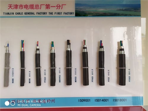 探索浙江嘉兴市MKVV2 0.5天联光纤电缆 专业生产厂家与产品应用深度解析